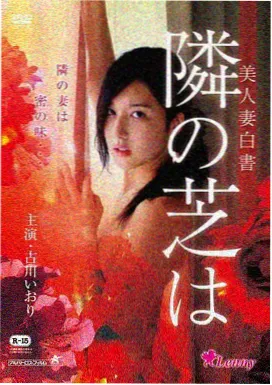 铁皮鼓手电影海报